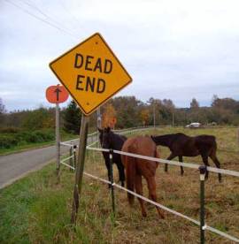 DeadEnd_Horses2